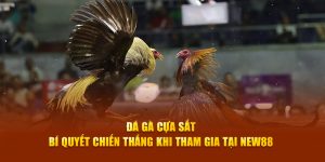 Đá Gà Cựa Sắt – Bí Quyết Chiến Thắng Khi Tham Gia New88